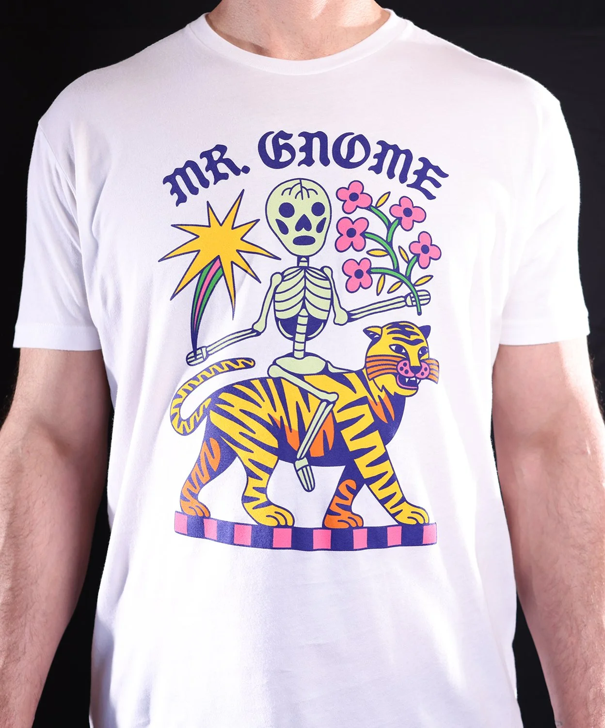 Store — mr. Gnome